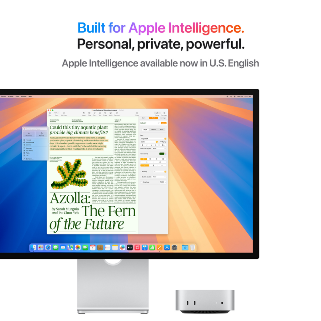 Apple MAC MINI: M4 10C CPU/10C GPU/16GB/512GB-ROC