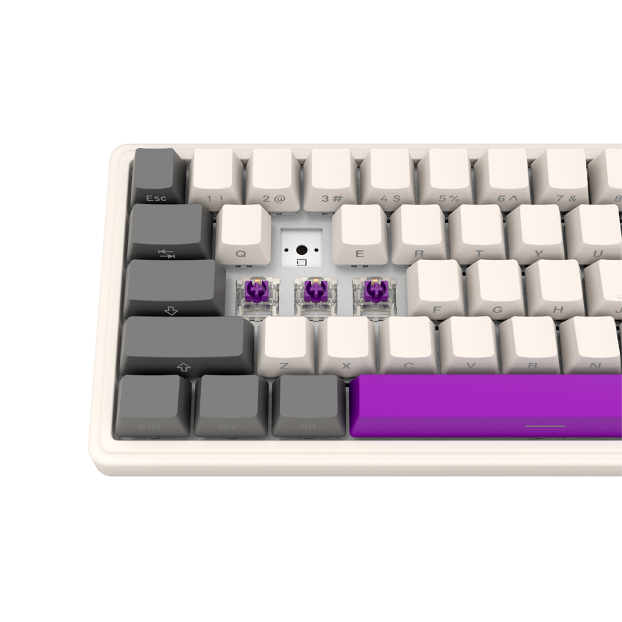 LORGAR KBP70MW, Wireless 65% Mechanical Gaming Keyboard Pro, Beige