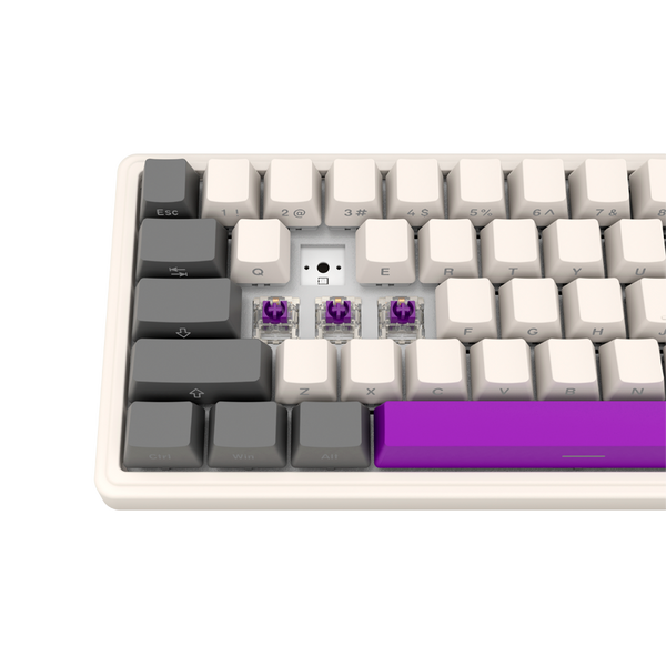 LORGAR KBP70MW, Wireless 65% Mechanical Gaming Keyboard Pro, Beige